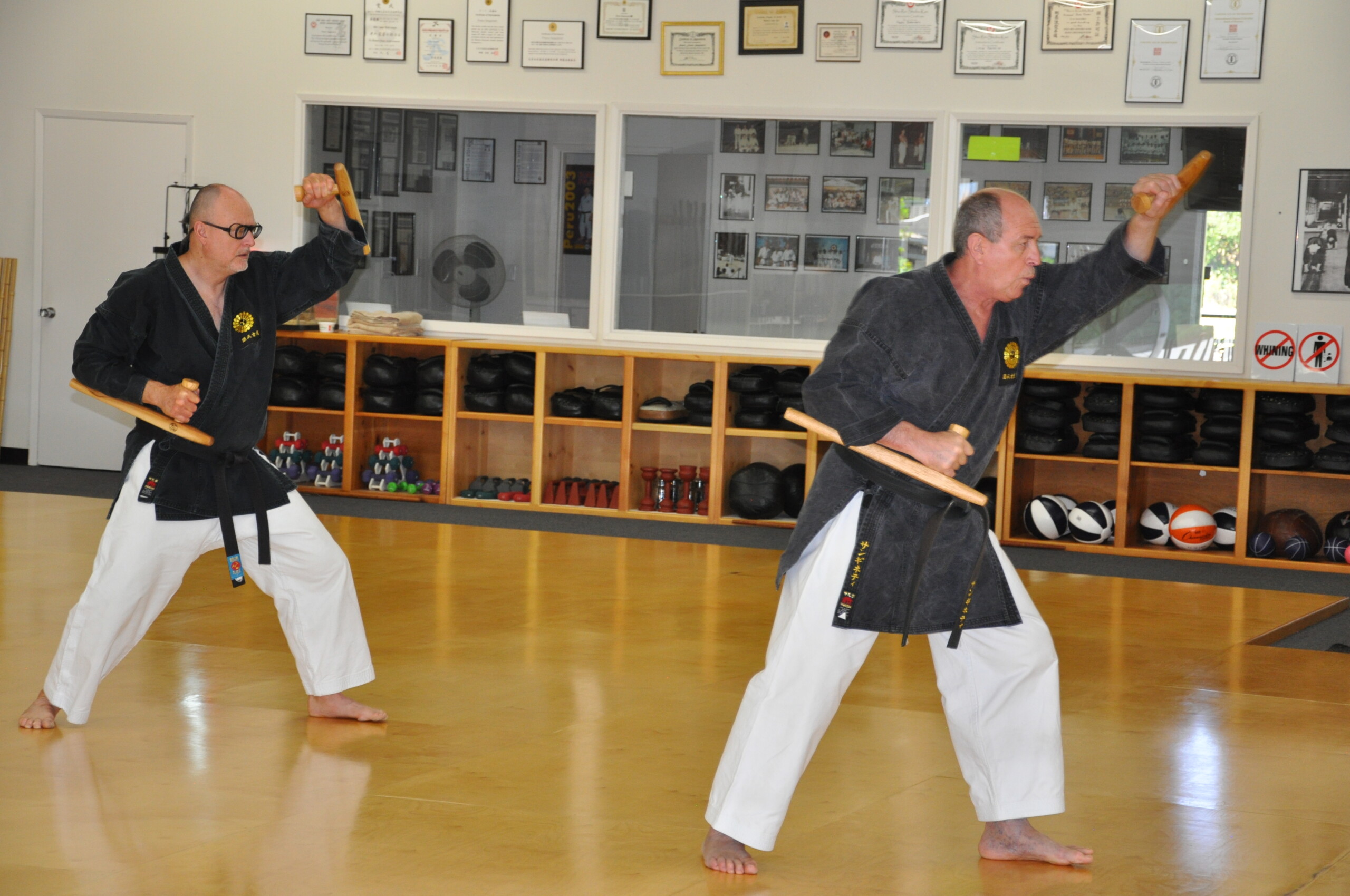 PRIVATE KOBUDO LESSONS